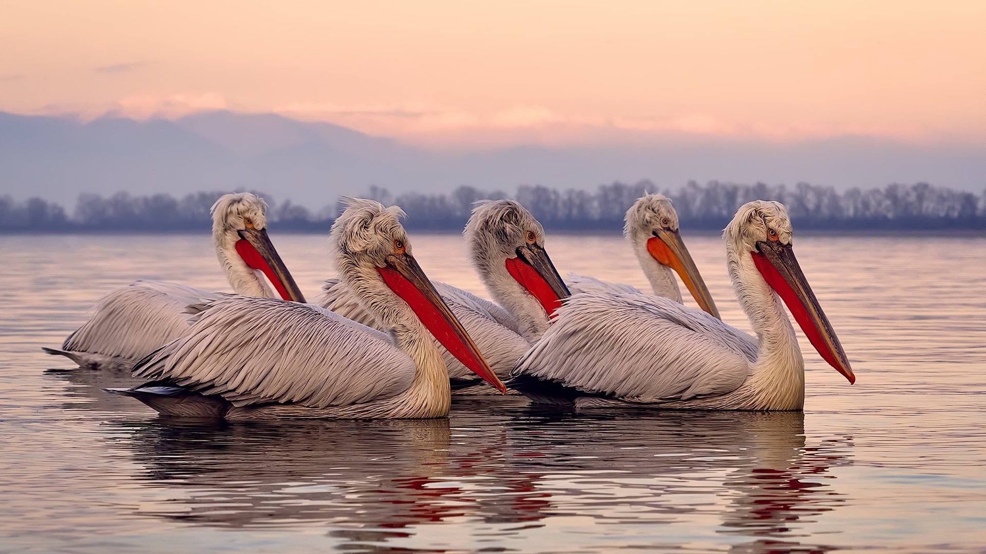 多维球场，当英格兰的狂胜遇见奥恰洛夫的回旋