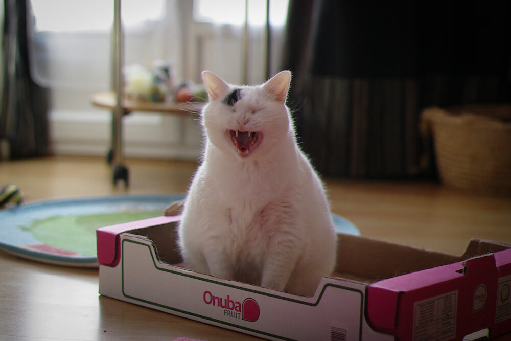 爱游戏体育-烽烟中冷月如钩，阿坎吉点燃赛场，秘鲁提前为伊拉克断魂