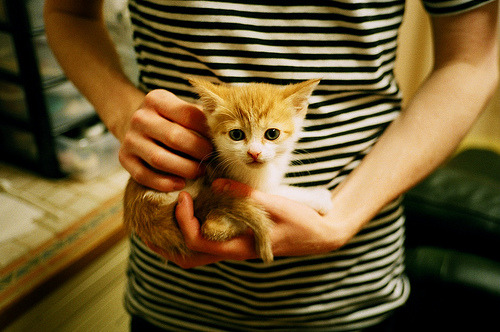 南美风暴席卷红牛竞技场，乌拉圭高压战术撕裂莱比锡，久保建英一锤定音演绎亚洲之光