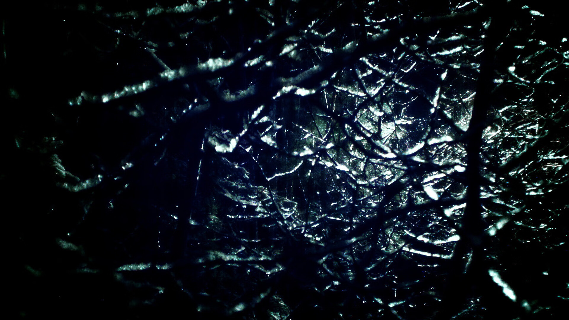 时空撕裂下的篮球狂想,当浙江万马奔腾撞碎芝加哥铁壁