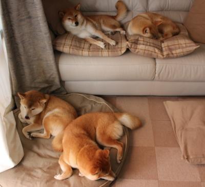 当神话防线遭遇绿茵圣殿,一场穿越时空的足球对话