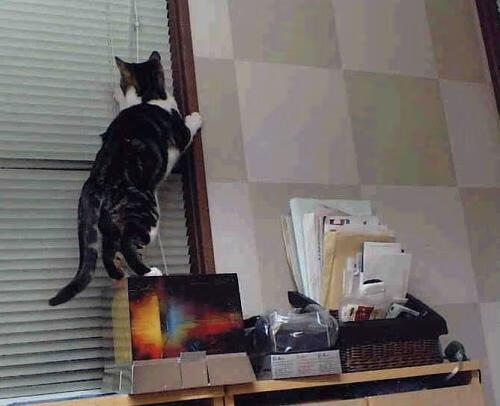 富安健洋的完美防守艺术与美国足球的崛起之光，从个人辉煌到集体突破的足球新纪元