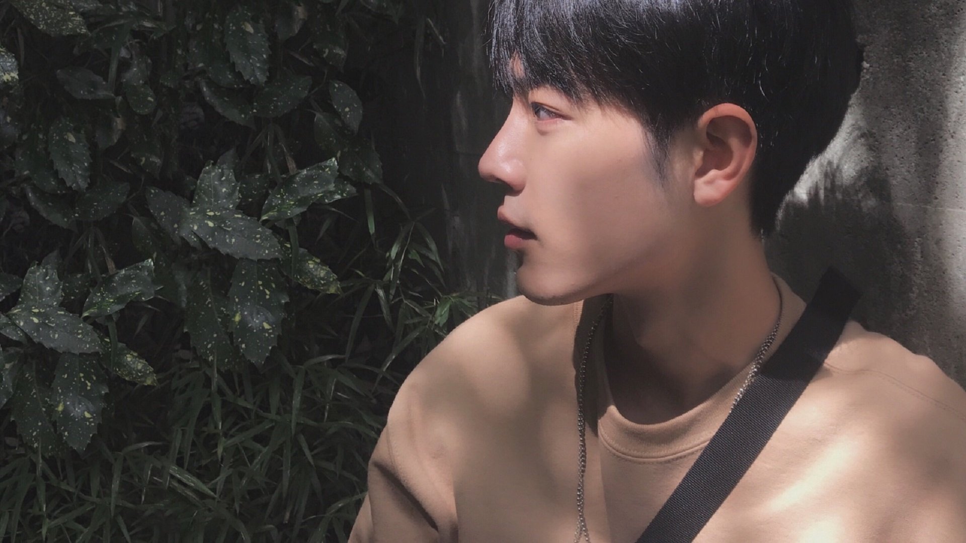 速度与绿茵的狂欢,F1揭幕战焦点战与塞维利亚狂胜里昂的双重体育盛宴