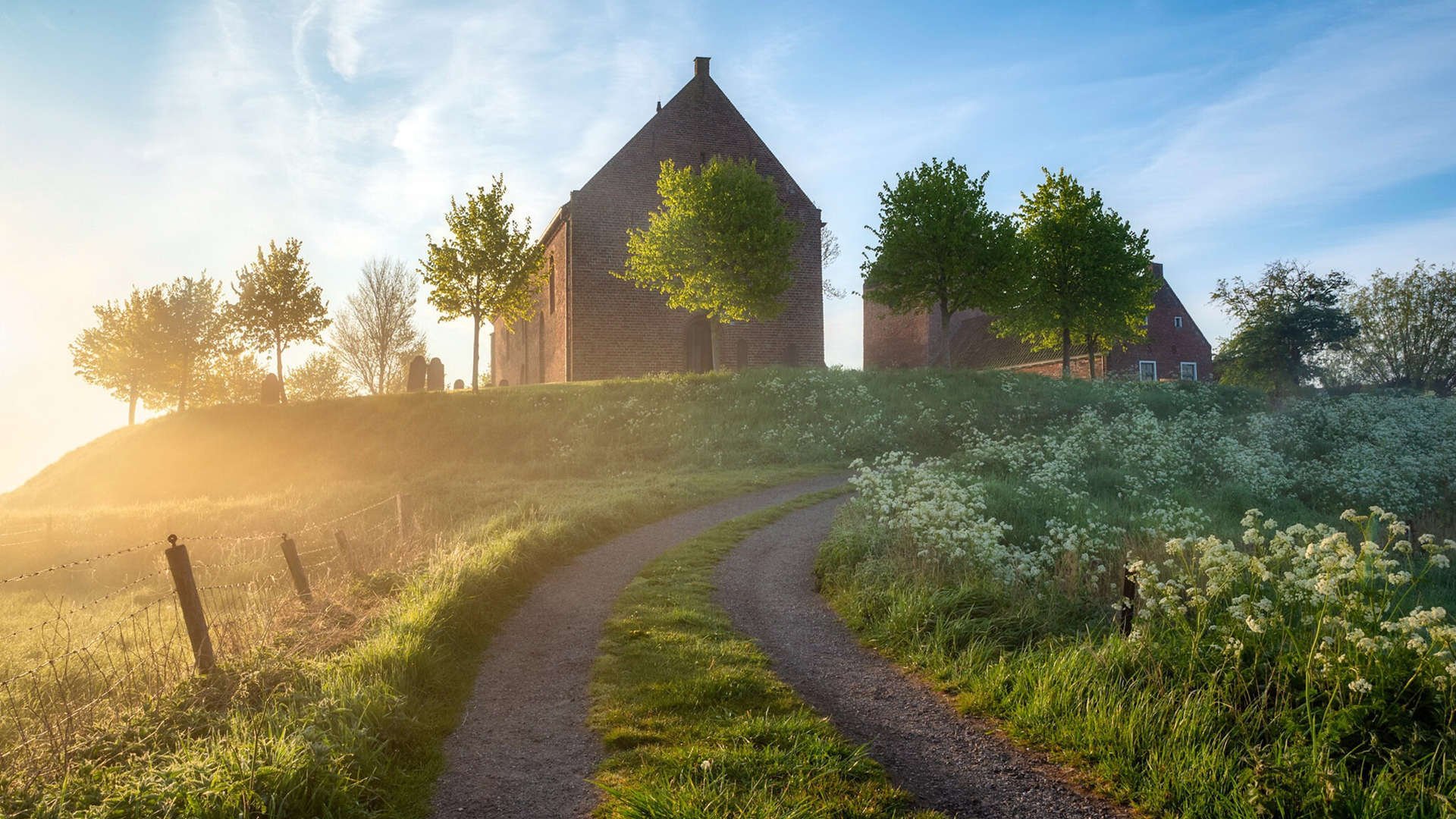 欧冠之夜,里昂绝杀多特蒙德,福登统治全场闪耀双星