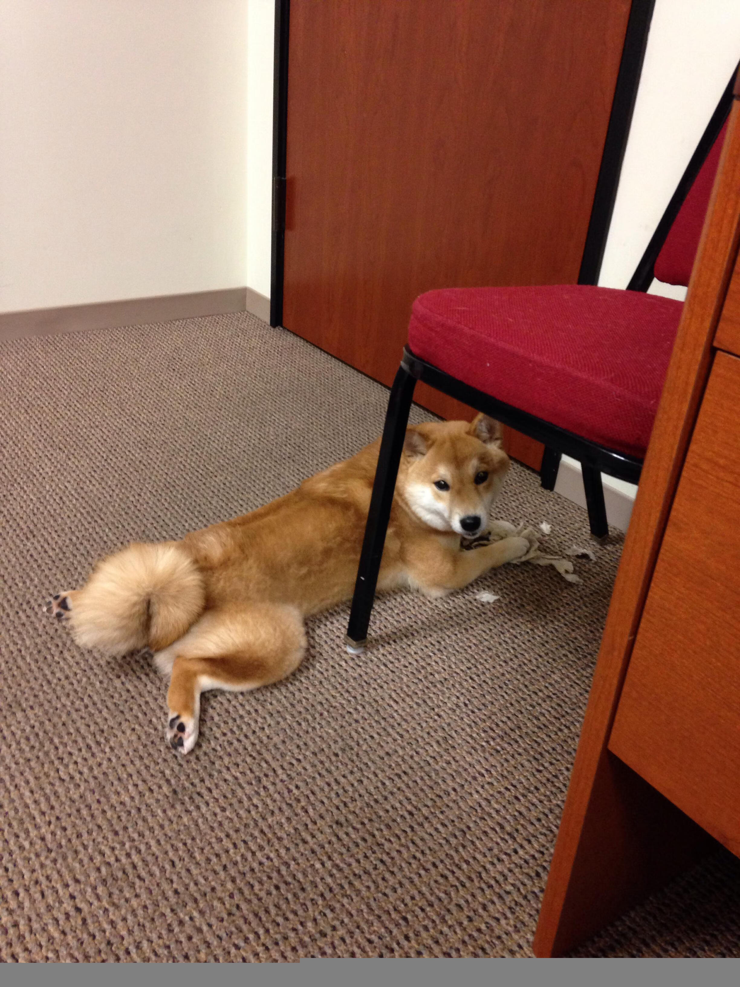 爱游戏娱乐-决战未至，悬念已终—奥运关键战夜见证莫兰特统治力