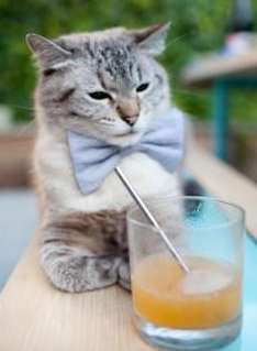 蓝色飓风席卷F1街道赛，浙江队的围剿艺术如何让孤胆英雄折戟