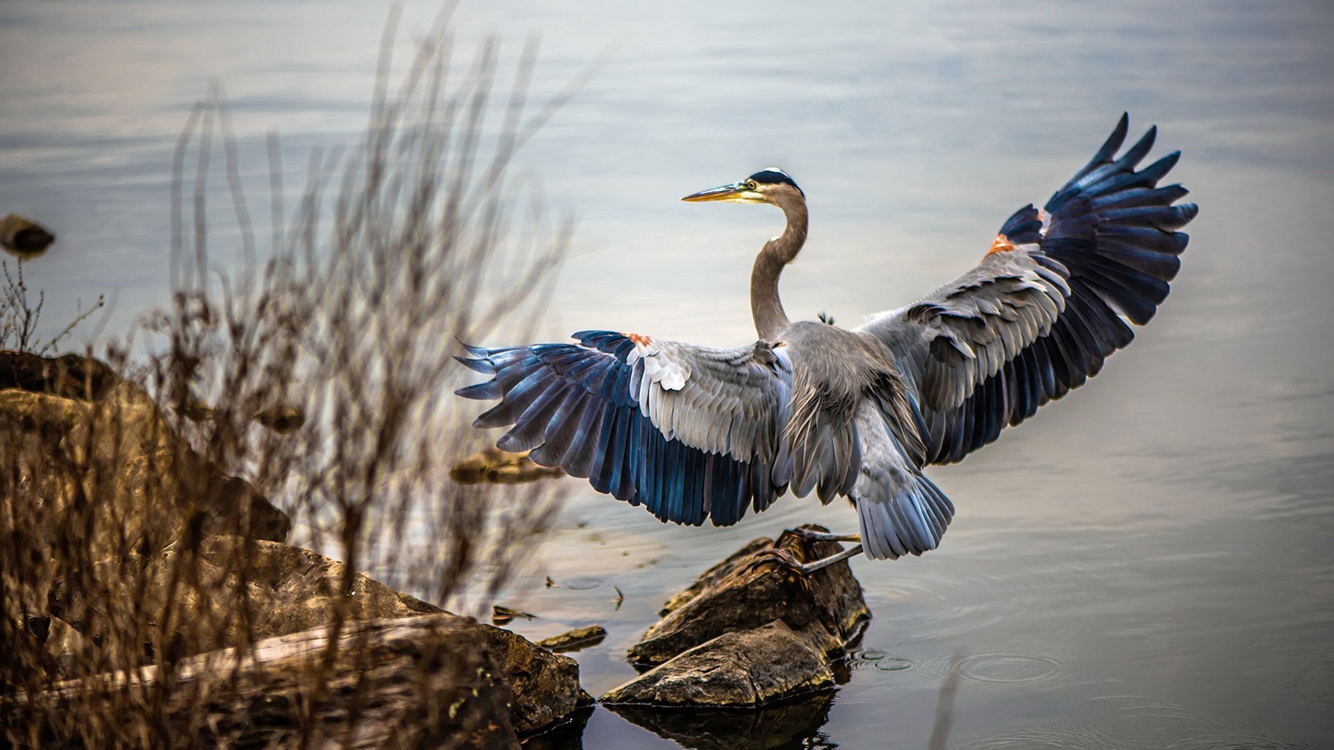 重返金字塔尖,莫兰特末节16分撕裂爵士,森林狼的新狼王与新时代宿敌