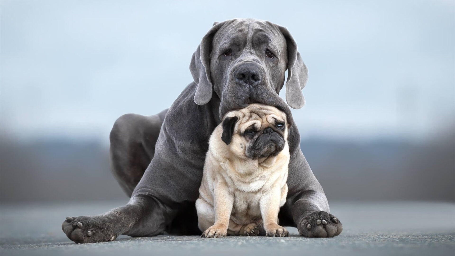 数据之心与凡人之手,当猛龙险胜辽宁,克莱那记穿越时空的三分