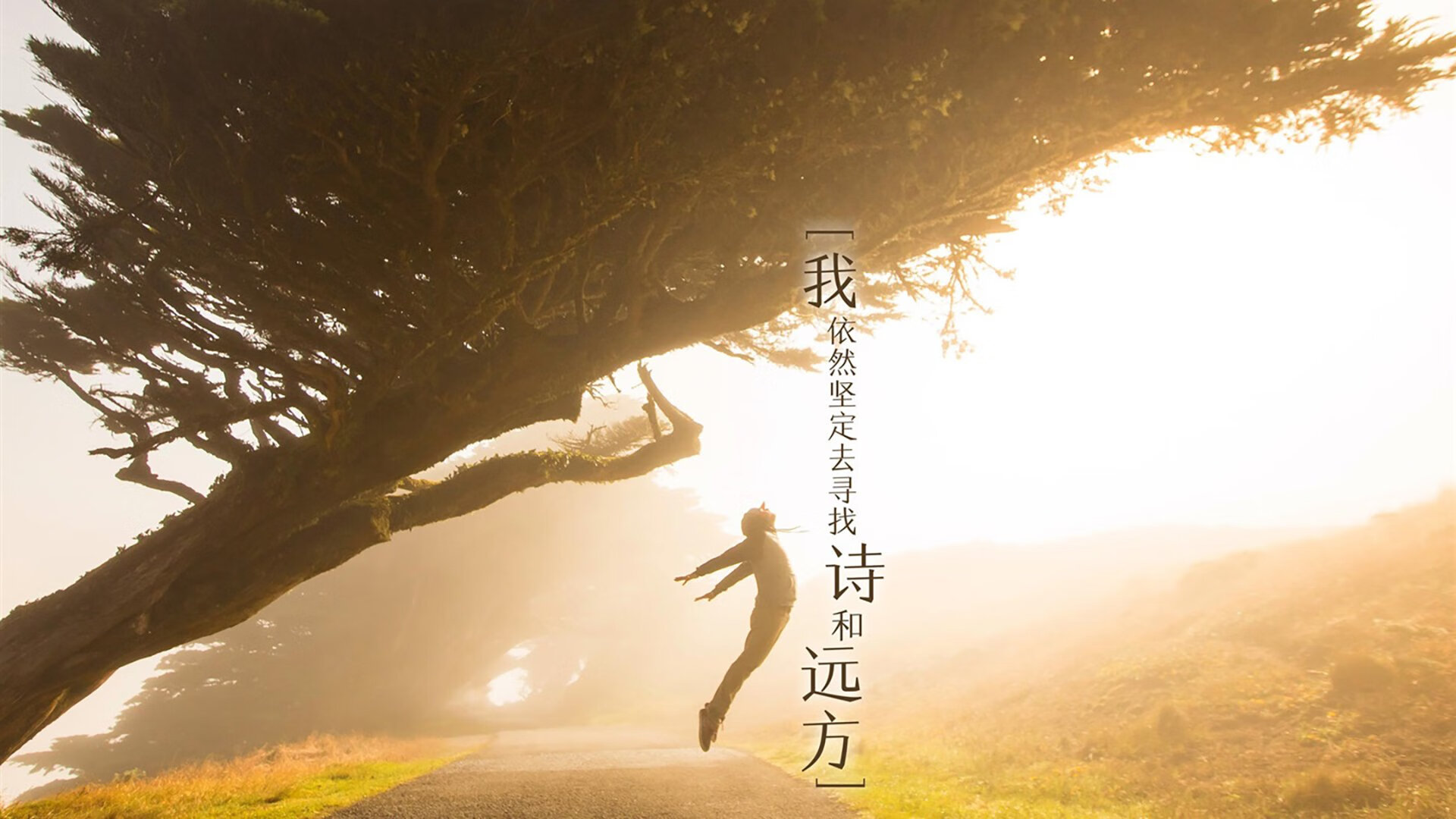 北欧铁血与南美利刃，当瑞典体系遇上阿圭罗的致命一击