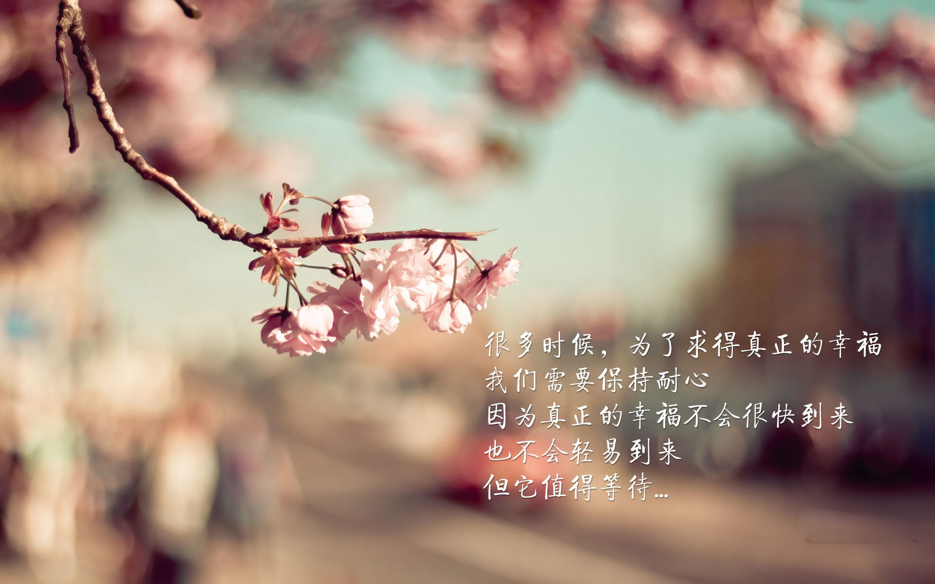 爱游戏APP-极夜之光，2026世界杯G组，哈兰德与挪威的逆转史诗