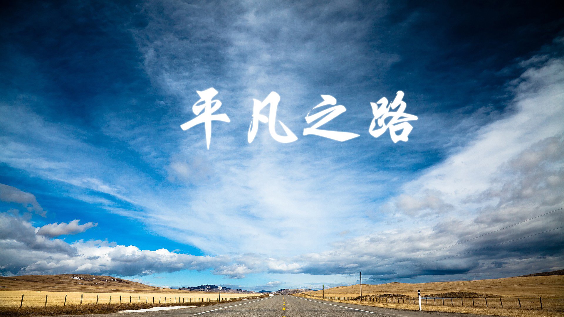 风车的余晖与安第斯的闪电,佩德里如何在2026年D组生死战中撕裂郁金香防线
