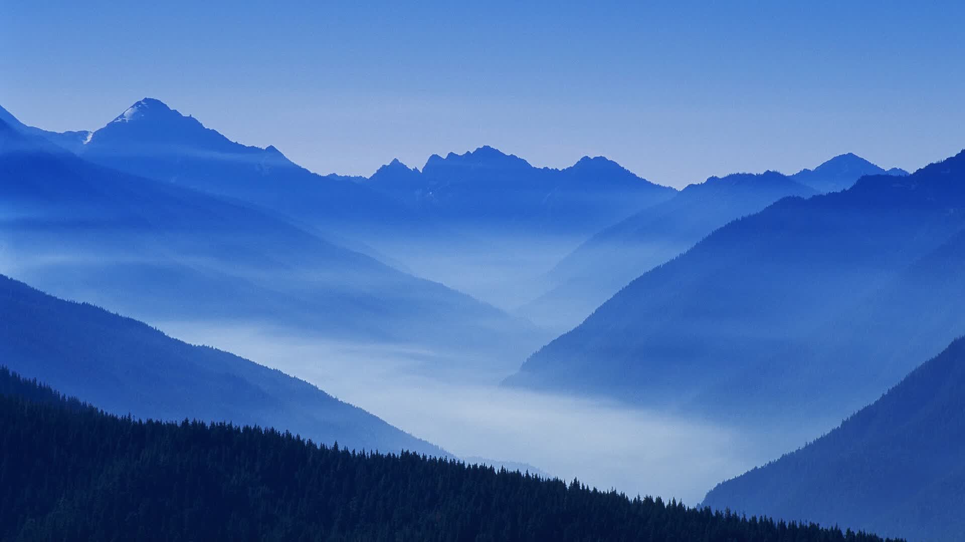爱游戏在线-血洗之夜，2026世界杯E组强强对话，葡萄牙横扫加纳，贝林厄姆化身孤胆英雄，替补奇兵一剑封喉