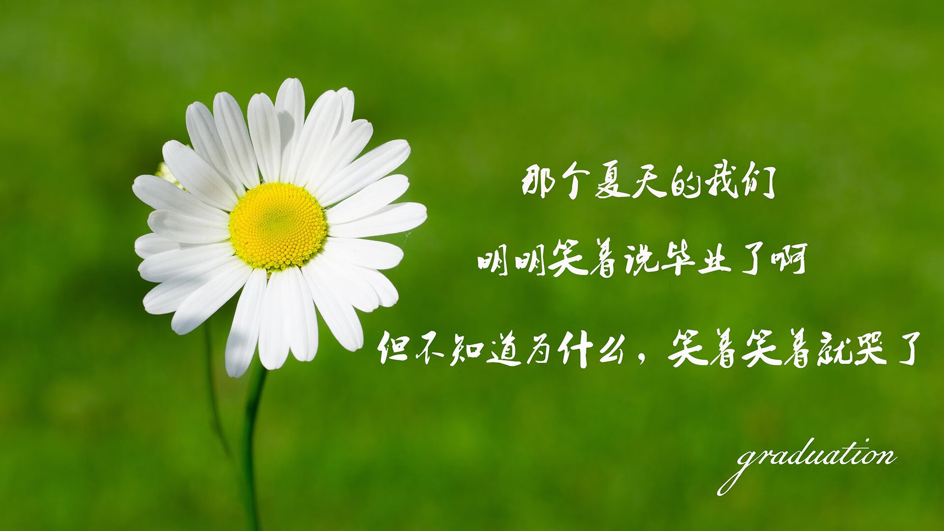爱游戏APP-沙漠之巅，当桑巴狂潮淹没海湾，哈兰德以雷霆一击终结最后悬念